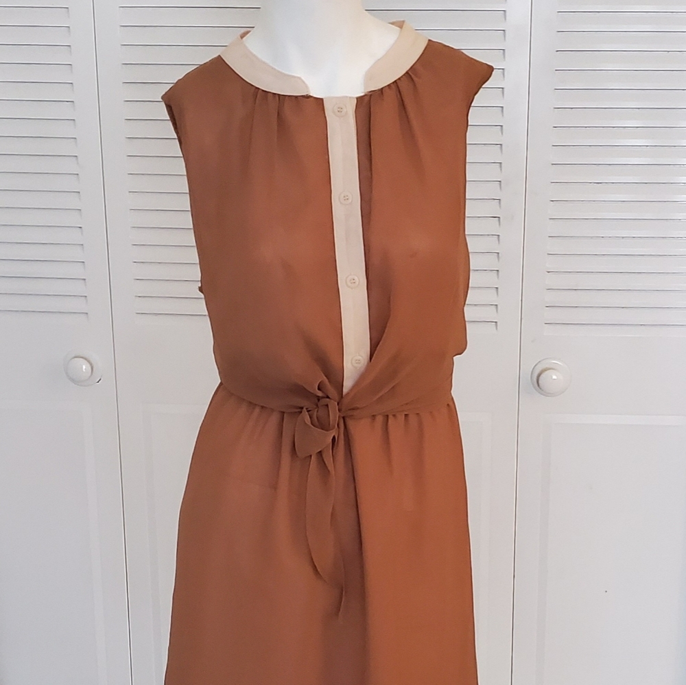 Blu Pepper Earth-toned Shift Dress